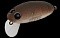 NORIES CRANKIN PUPA SHALLOW