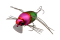 JACKALL CHUBBY BUG 35