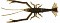 VAGABOND V-ALIVE CRUST BUG 4.5"