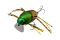 JACKALL CHUBBY BUG 35
