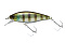 JACKALL CHUBBLE SR
