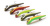 Воблер JACKSON DART MAGIC NATIVE COLOR 3G японское качество от производителя JACKSON Воблер JACKSON DART MAGIC NATIVE COLOR 3G японское качество от производителя JACKSON