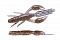 O.S.P. DOLIVE CRAW 3"