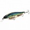 MEGABASS ITO SHINER
