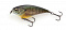 IMAKATSU GEKIASA FLAT