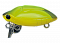 SMITH CAMENUSI