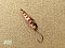 RIVER OLD SATELLITE VIPER 3.2G
